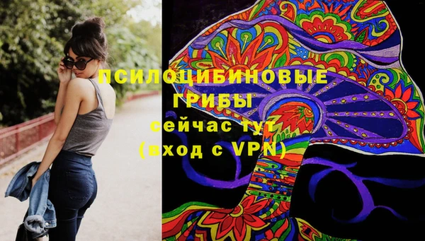 Альфа ПВП Алексин