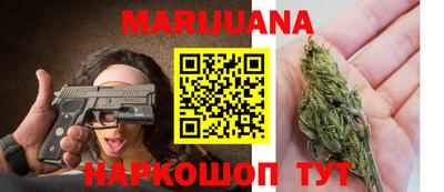 гашик Будённовск