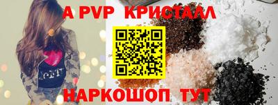 гашик Будённовск