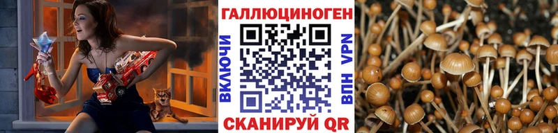 Псилоцибиновые грибы ЛСД  KRAKEN ССЫЛКА  Апшеронск 