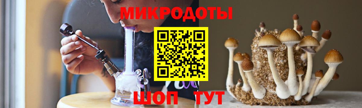 Апшеронск  Псилоцибиновые грибы Magic Shrooms  Вход с VPN  Галлюциногенные грибы GOLDEN TEACHER 
